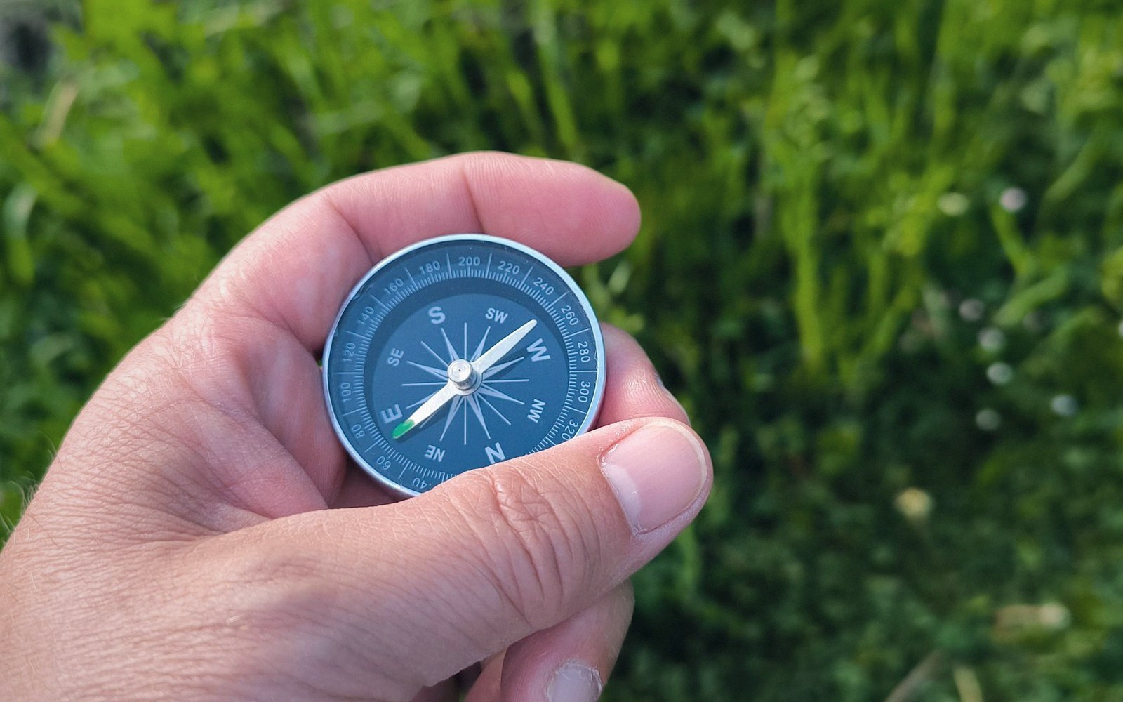 A hand holding a small compass over long grass