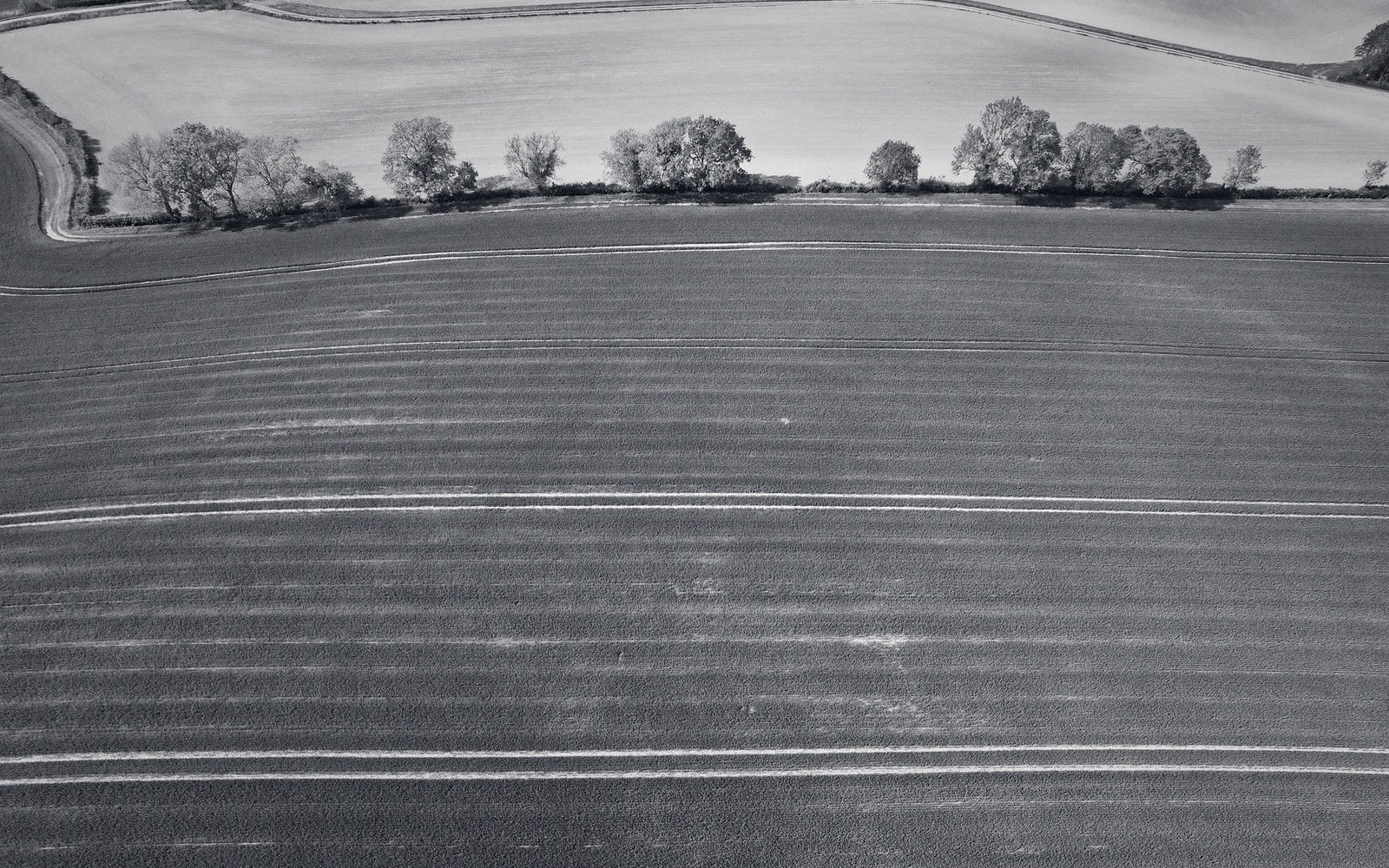 A ploughed field running to a hedge line, black and white
