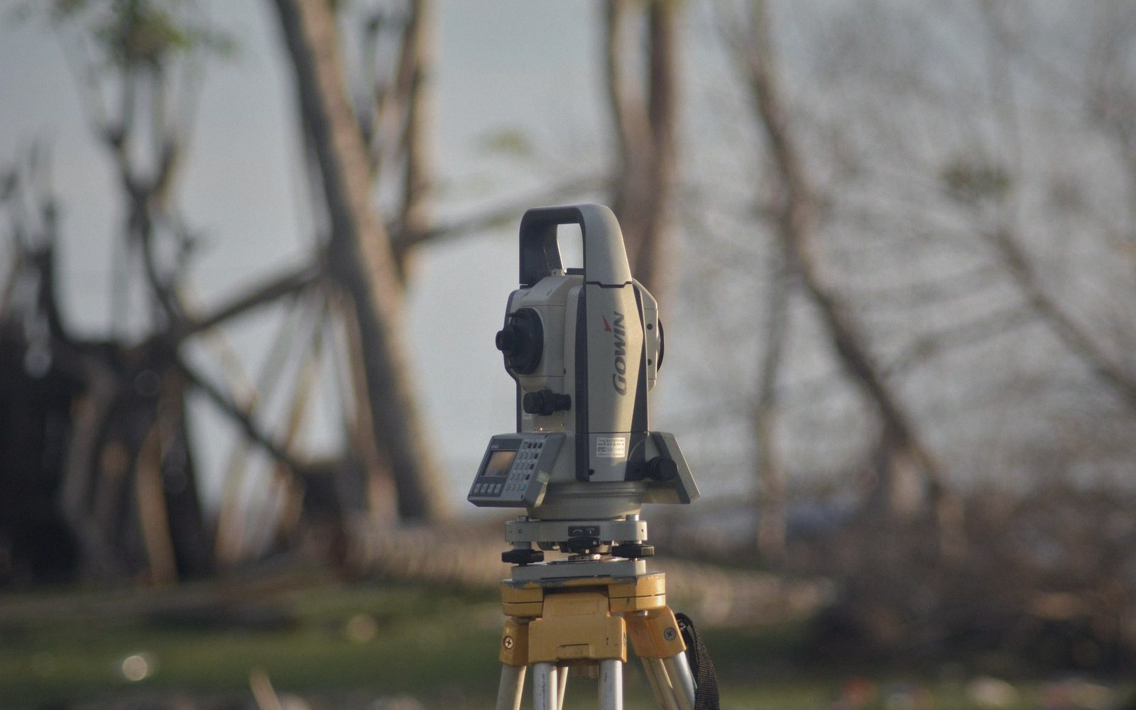A total station on a tripod in bare scrub woodland