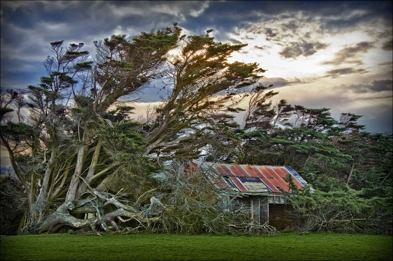 Is It Windy? Slope Point, New Zealand